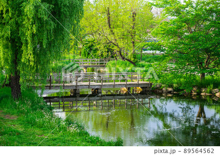 名水百選　安曇野わさび田湧水群 89564562