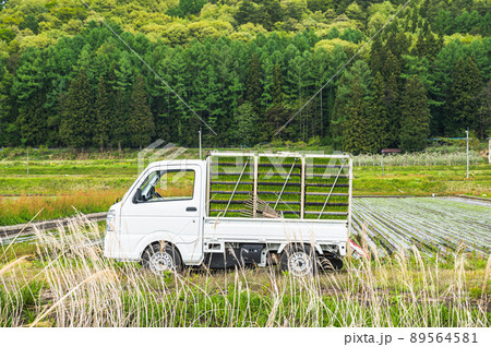 田んぼに植える苗を運ぶ軽トラック 田んぼに植える苗を運ぶ軽トラック 89564581