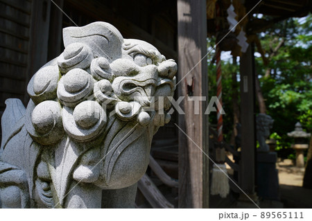 横から見た神社の狛犬（荒砂神社） 89565111