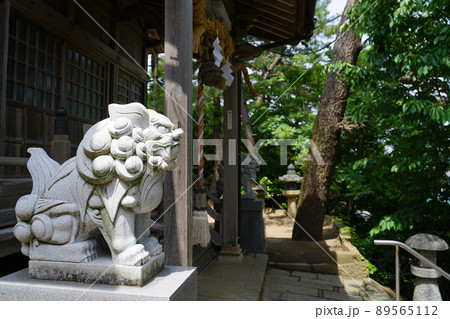 神社の狛犬（荒砂神社）  89565112
