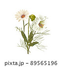 Bouquet with wild flowers and leaves. Vintage illustration for fabric design. Foliage illustration. Trendy floral 89565196