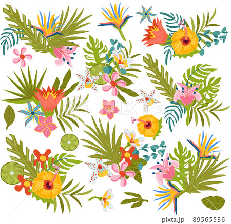 Set of cute Summer compositions, tropical leaves and exotic flowers other perfect for postcard, scrapbooking, beach party. Hot season. Vector illustration 89565536
