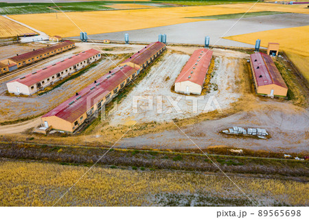 Aerial view of modern pig farm Aerial view of modern pig farm 89565698