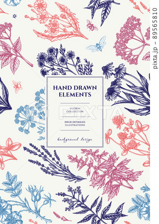 Tea herbs pattern card design. Hand drawn chamomile, chicory, cinnamon rose, etc. 89565810