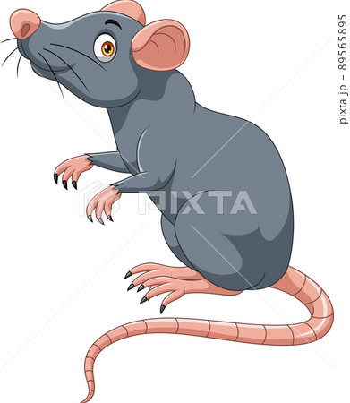 Cartoon happy mouse on white background Cartoon happy mouse on white background 89565895