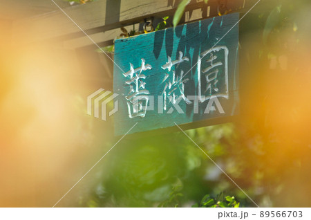 世田谷区瀬田にある瀬田フラワーランドの薔薇園とツガイのカモ 89566703