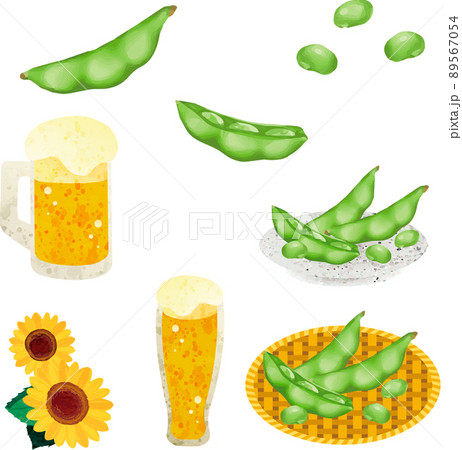 夏　枝豆　マメ　ビール　水彩　アナログタッチ　食べ物　おつまみ　野菜　イラスト素材セット 89567054
