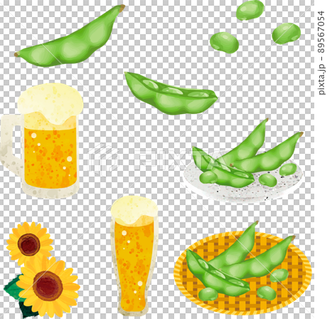 夏　枝豆　マメ　ビール　水彩　アナログタッチ　食べ物　おつまみ　野菜　イラスト素材セット 89567054