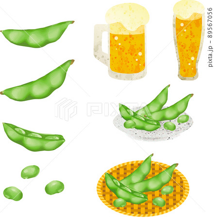 夏　枝豆　マメ　ビール　水彩　アナログタッチ　食べ物　おつまみ　野菜　イラスト素材セット 89567056