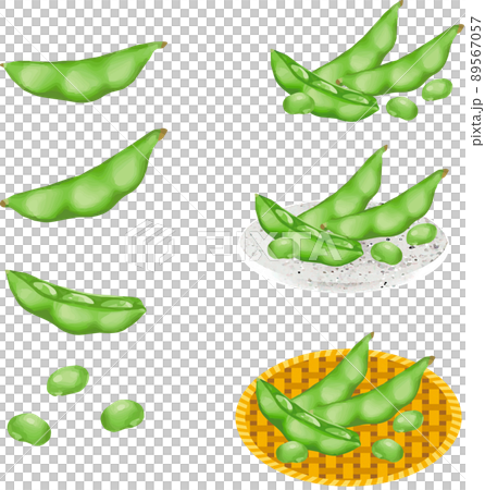 夏　枝豆　マメ　ビール　水彩　アナログタッチ　食べ物　おつまみ　野菜　イラスト素材セット 89567057