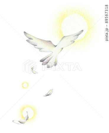 光に向かって飛び立つ白い鳥 手描き色鉛筆画のイラスト素材