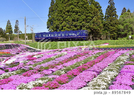 春の北海道木古内町で芝桜の公園脇を道南いさりび鉄道の普通列車が通る風景を撮影 春の北海道木古内町で芝桜の公園脇を道南いさりび鉄道の普通列車が通る風景を撮影 89567849