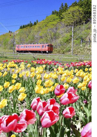 春の北海道木古内町サラキ岬公園で道南いさりび鉄道の普通列車が通る風景を撮影 89568382