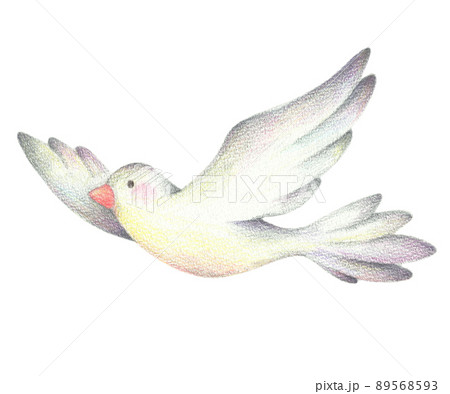 羽ばたく白い鳥 89568593