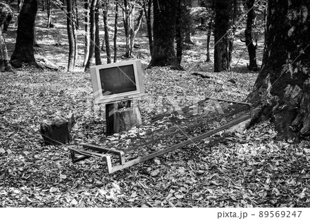 TV on stump in forest 89569247