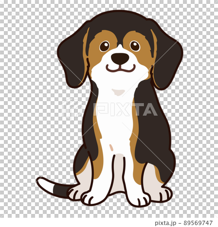 坐在主線上的深色三色小獵犬的插圖 坐在主線上的深色三色小獵犬的插圖 89569747