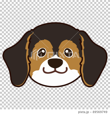 帶有主線的深色三色小獵犬的可愛插圖 帶有主線的深色三色小獵犬的可愛插圖 89569749