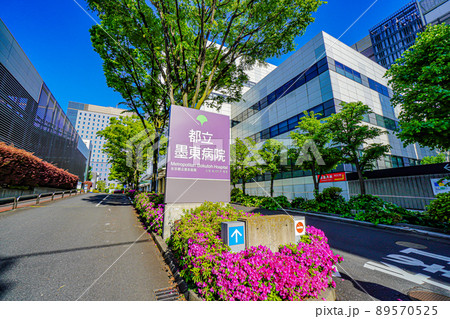 東京都立墨東病院 89570525