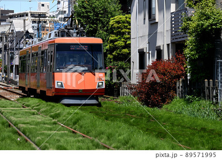 （鉄道風景）雑草が生い茂る軌道を走るオレンジの東急世田谷線 89571995