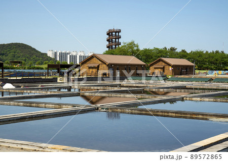 風景 生態公園 始興市 89572865