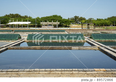 風景 韓国 屋外 89572866