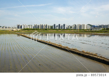 風景 田畑 農業 89573014