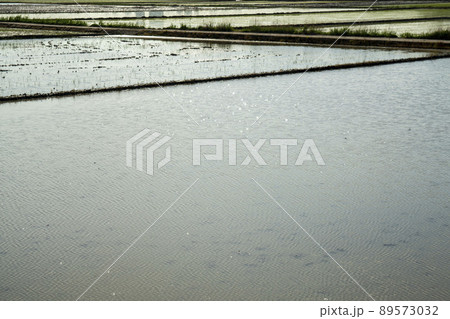 農業 田畑 稲作 89573032