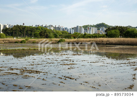風景 田畑 農業 89573034