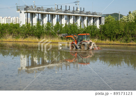 農業 田植え 風景 89573123