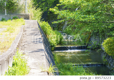 妙見口駅から妙見山までのハイキングコース 花折街道 妙見口駅から妙見山までのハイキングコース 花折街道 89573223