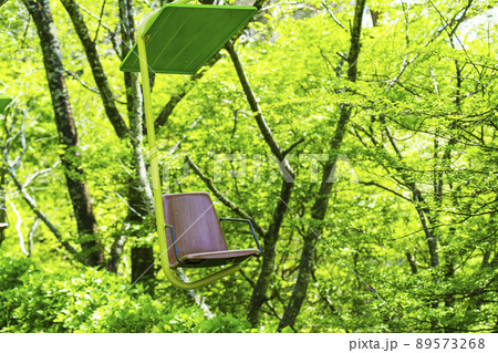 大阪 妙見の森リフト(2022年初夏 新緑の季節) 大阪 妙見の森リフト(2022年初夏 新緑の季節) 89573268