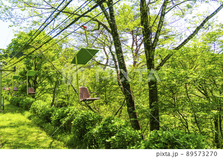 大阪　妙見の森リフト（2022年初夏　新緑の季節） 89573270