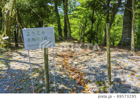 能勢妙見山　北極星の森 89573295