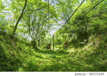 妙見の森リフト 妙見山→ふれあい広場 妙見の森リフト 妙見山→ふれあい広場 89573304