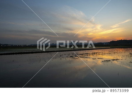 風景 空 日没 89573399