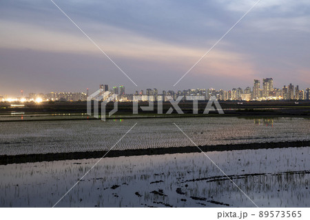 風景 空 田畑 89573565