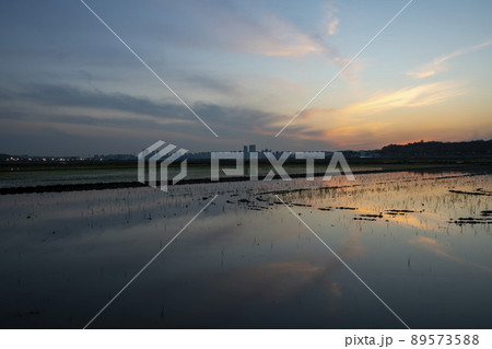 農業 風景 田畑 89573588