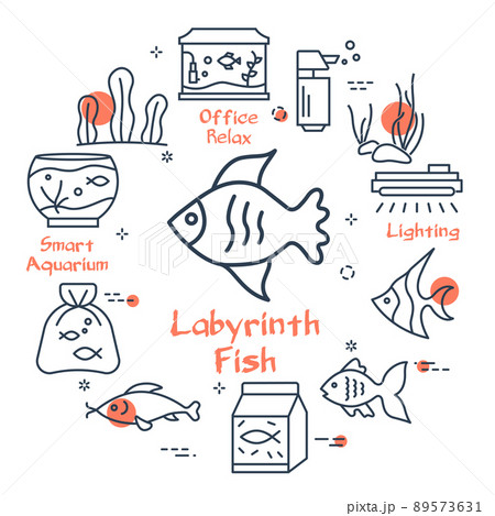 Linear style of aquarium fish and supplies 89573631