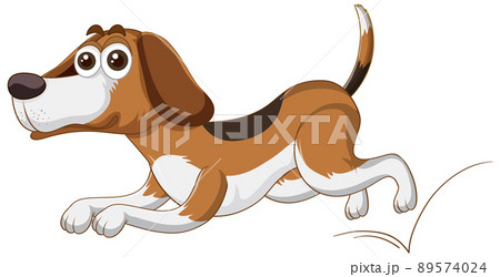 A Happy dog running on white background A Happy dog running on white background 89574024