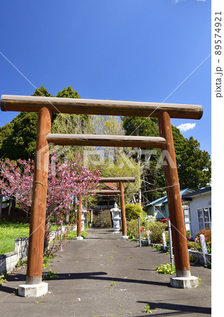 春の北海道木古内町で西野神社の風景を撮影 春の北海道木古内町で西野神社の風景を撮影 89574921