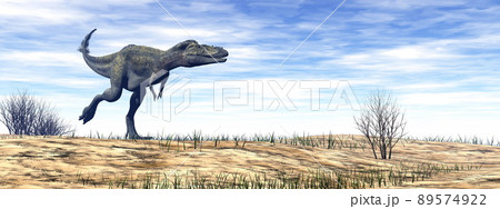 Alioramus dinosaur in the desert - 3D render Alioramus dinosaur in the desert - 3D render 89574922