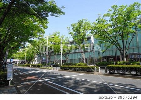 5月 渋谷1010新緑のケヤキ並木・表参道 5月 渋谷1010新緑のケヤキ並木・表参道 89575294