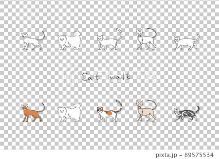 いろいろな猫のイラスト 89575534