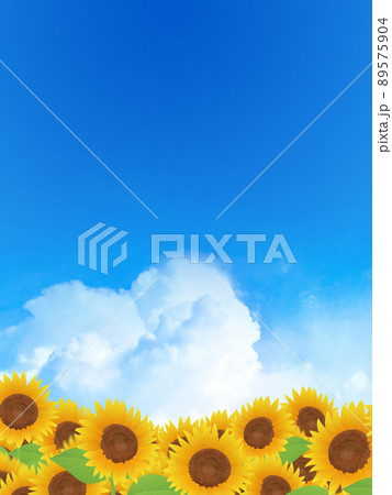ひまわり　風鈴　夏　イメージ背景素材 89575904