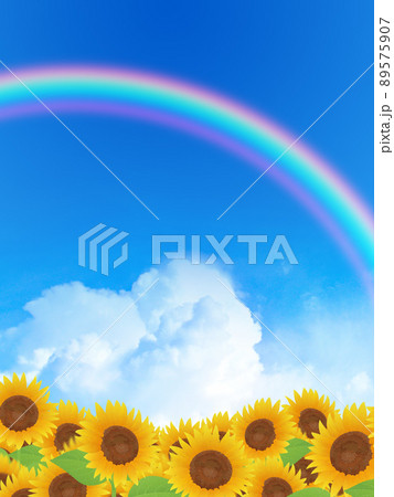 ひまわり　夏　イメージ背景素材 89575907