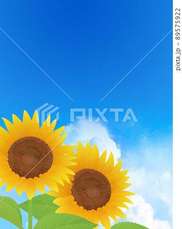ひまわり　夏　イメージ背景素材 89575922
