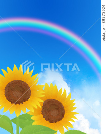 ひまわり 夏 イメージ背景素材のイラスト素材