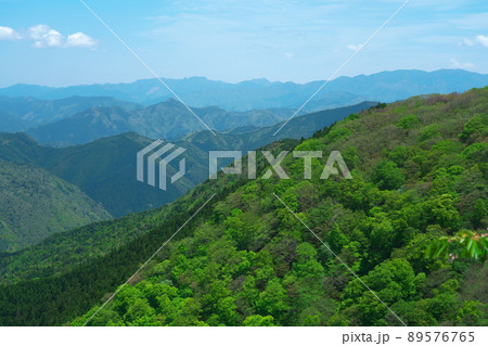 立里荒神社の参道のから見た大峯山系の山々と新緑2　奈良県吉野郡野迫川村 89576765