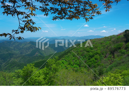 立里荒神社の参道のから見た大峯山系の山々と新緑3 奈良県吉野郡野迫川村 立里荒神社の参道のから見た大峯山系の山々と新緑3 奈良県吉野郡野迫川村 89576773