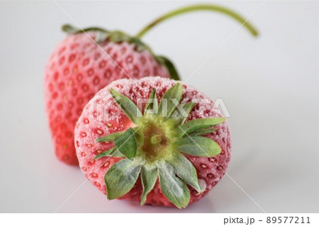 冷凍保存 冷凍保存 89577211